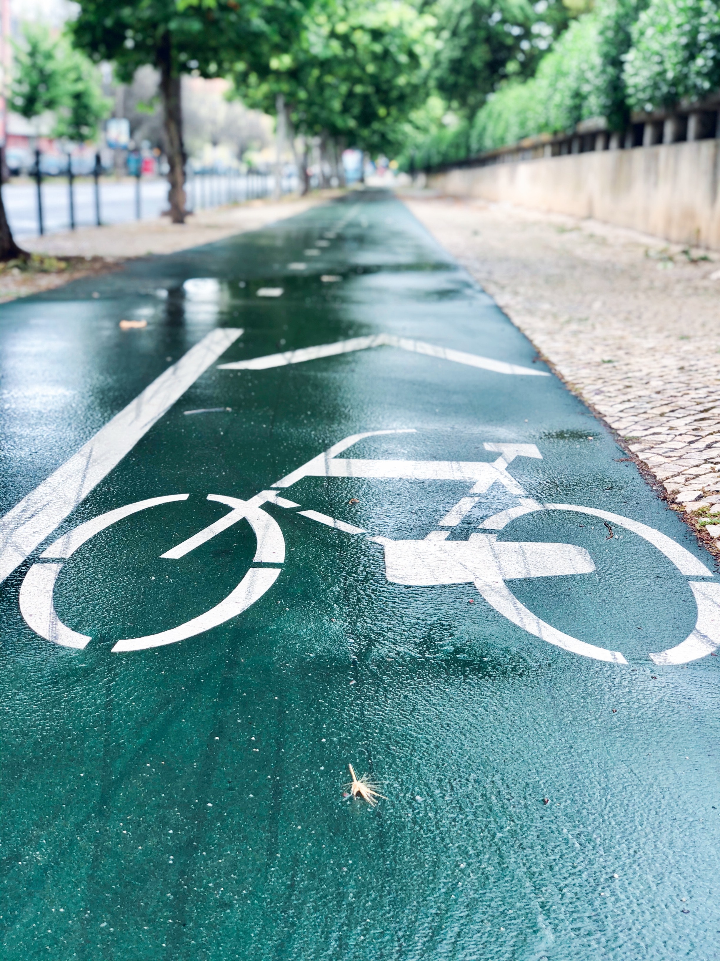 Image d'accueil de l'article Pistes cyclables : que dit le code de la route ?